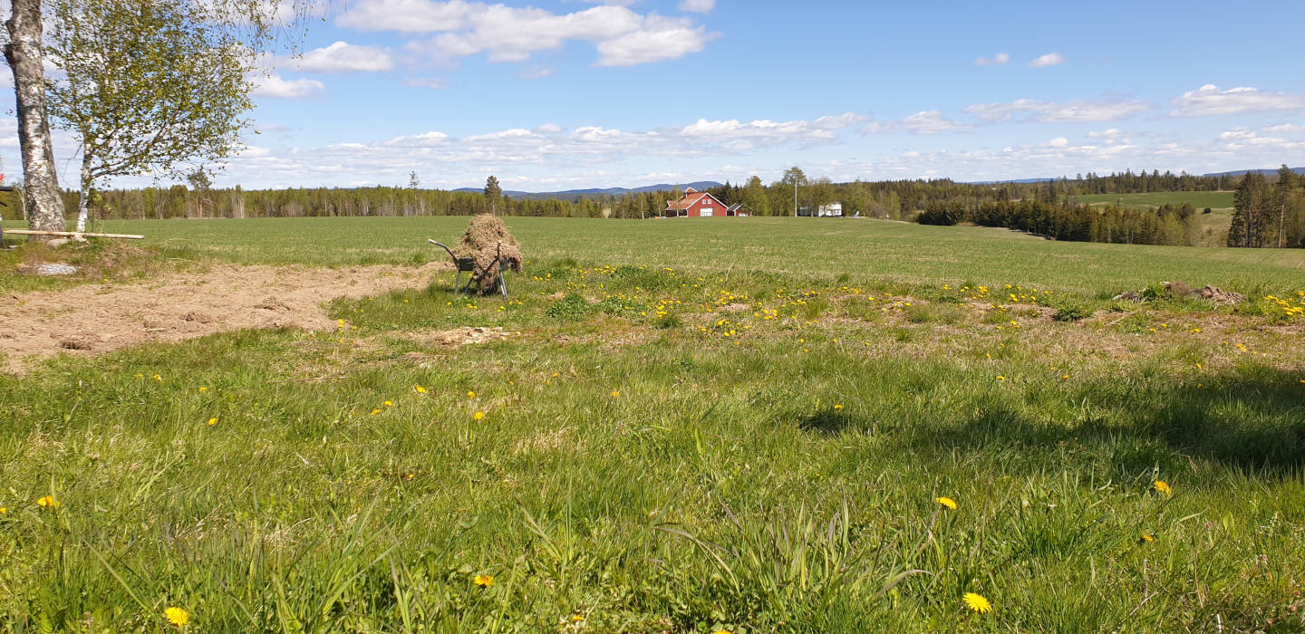 image from Test drive with the wrong plough